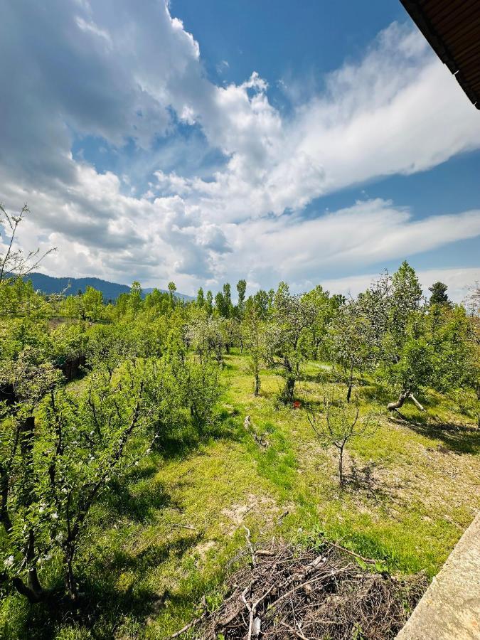 Sheen Homestay Gulmarg Eksteriør bilde