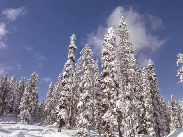 Sheen Homestay Gulmarg Eksteriør bilde